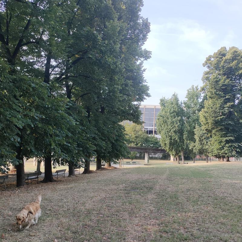 parco italia 61