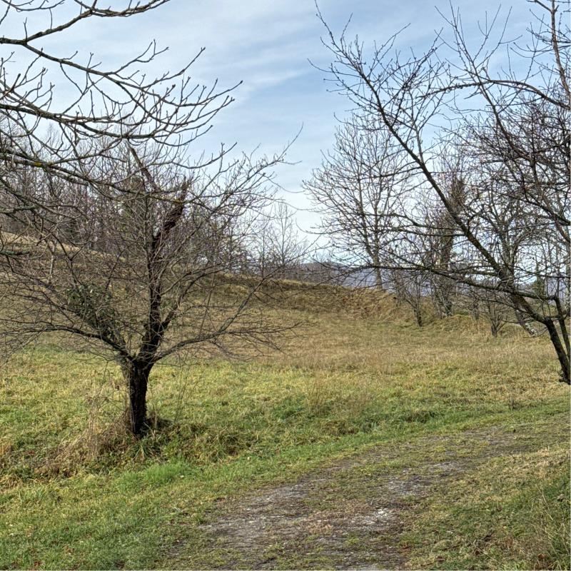 Fotosegnalazione di Bardi