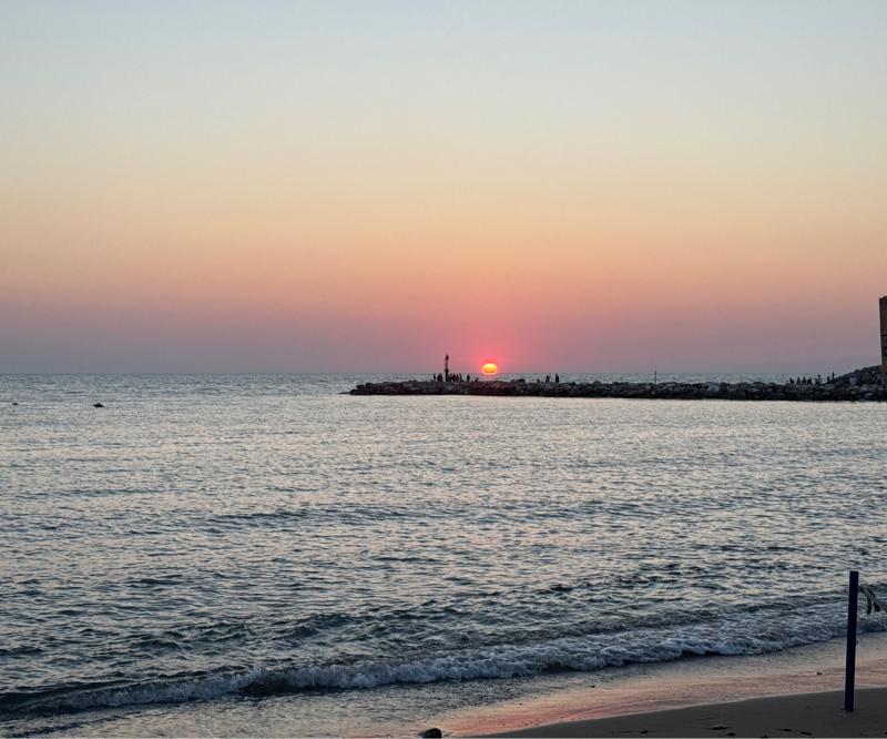 Fotosegnalazione di San vincenzo