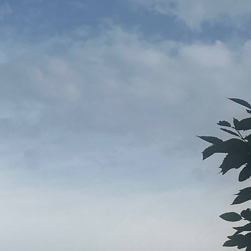 Fotosegnalazione di Azzano san paolo