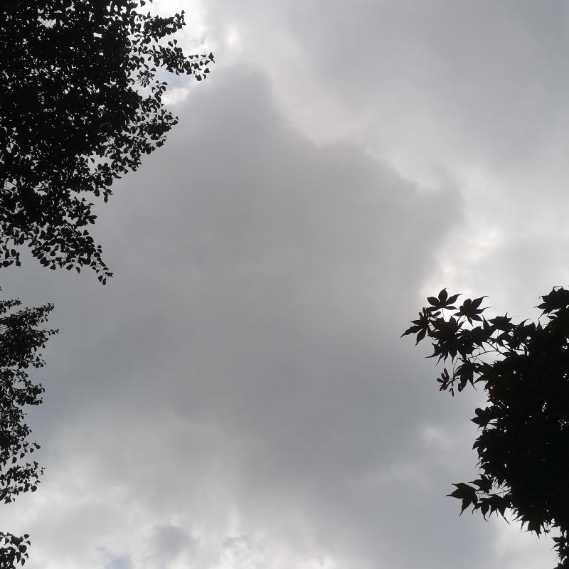 Fotosegnalazione di Mariano comense