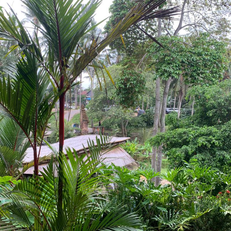 Fotosegnalazione di Ubud