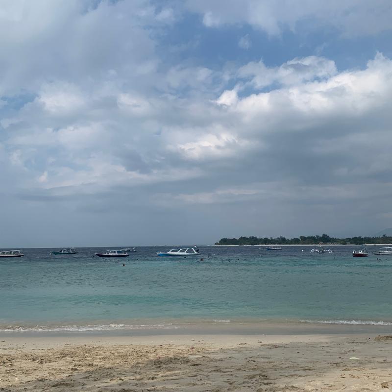 Fotosegnalazione di Teloknara