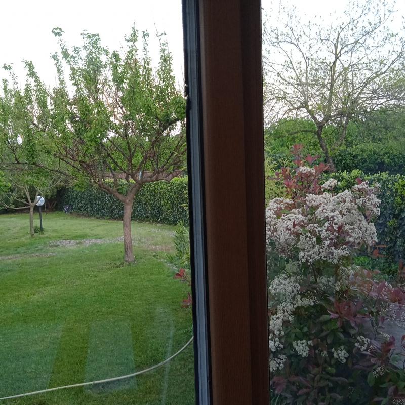 Fotosegnalazione di Capranica