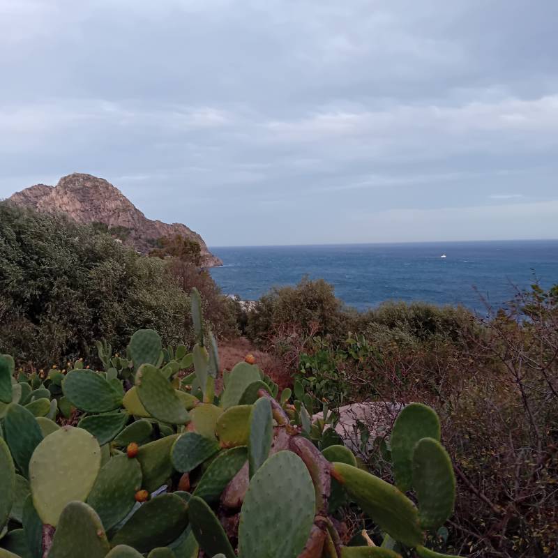 Fotosegnalazione di Santa flavia