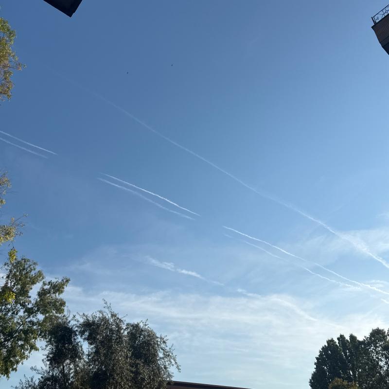 Cielo