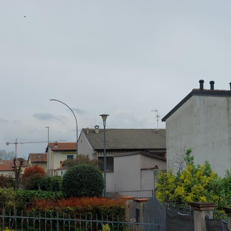 Fotosegnalazione di Travagliato