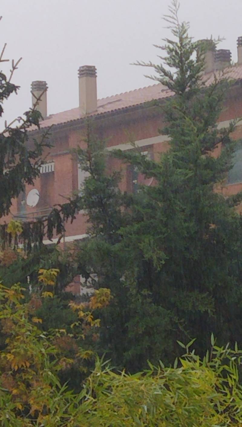 Chiaravalle Ancona 19-10-2024