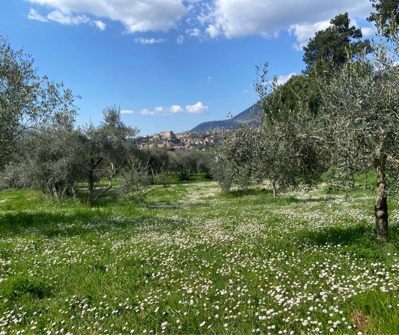 Fotosegnalazione di Subiaco