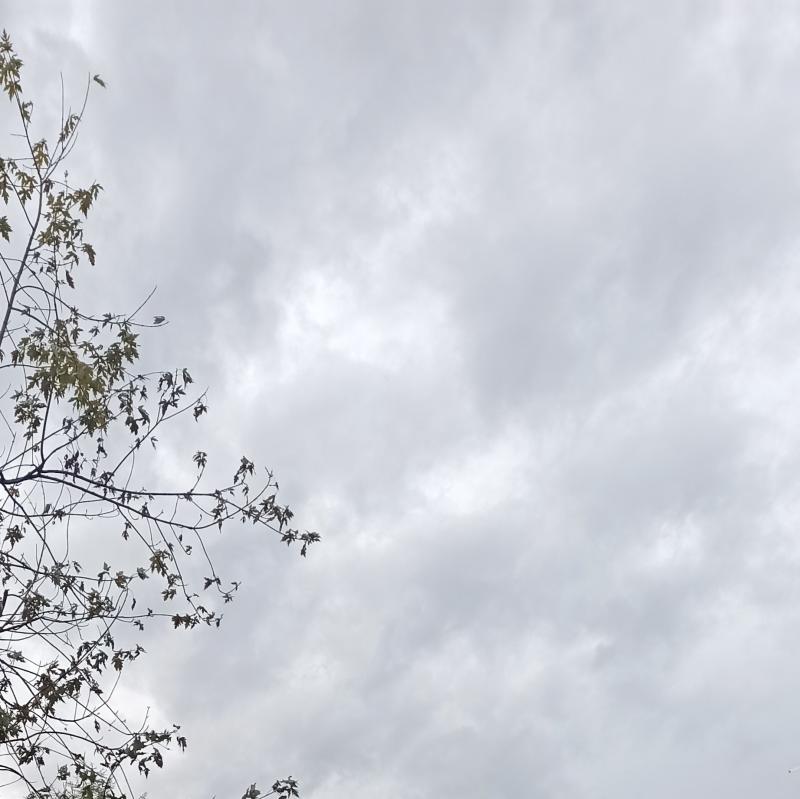 Fotosegnalazione di Crema