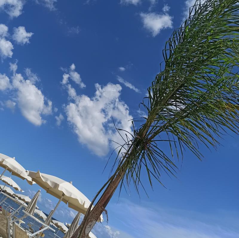 koko beach