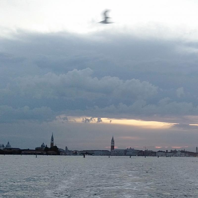 Fotosegnalazione di Venezia laguna sud