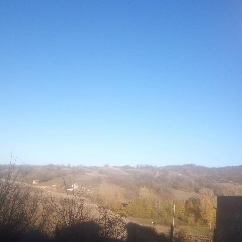 Fotosegnalazione di Mioglia