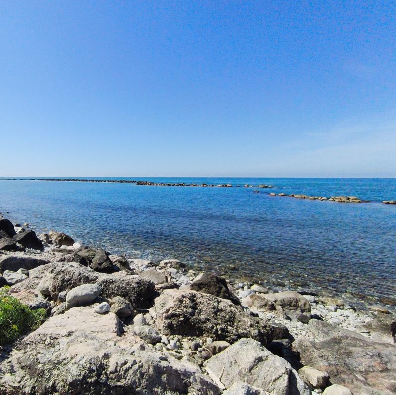 Fotosegnalazione di Massa litorale