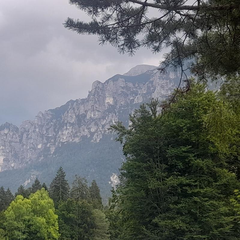 Fotosegnalazione di Val di sella