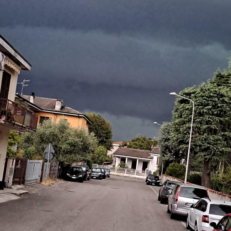 mulazzanolo