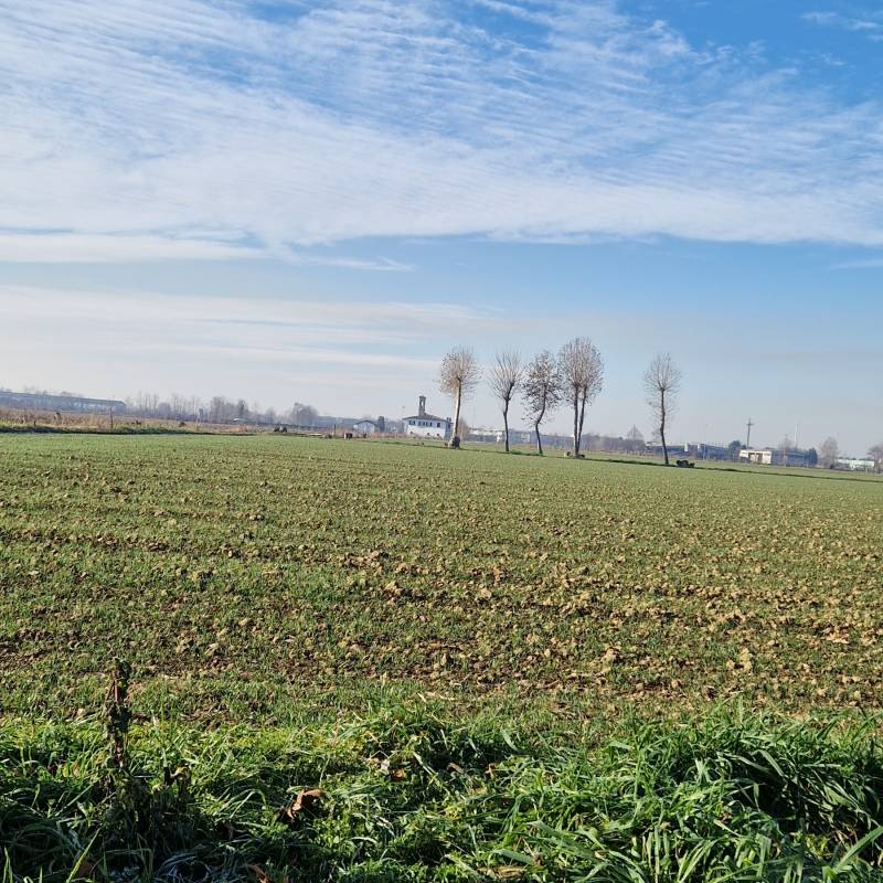 Fotosegnalazione di Brignano gera d'adda