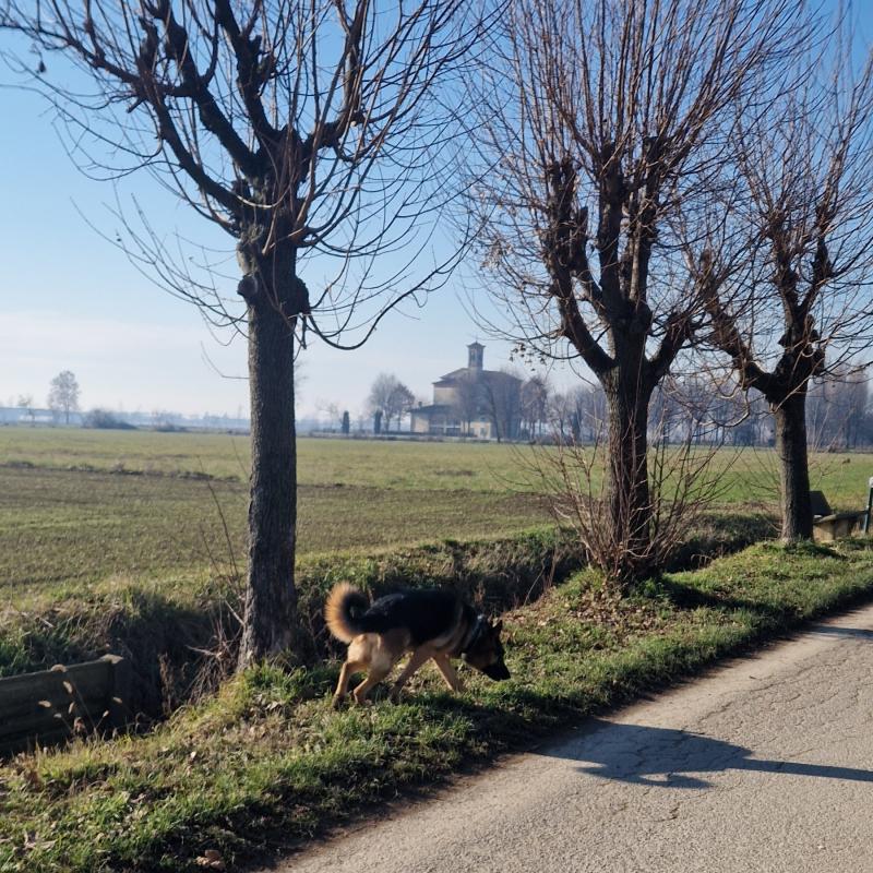 Fotosegnalazione di Brignano gera d'adda