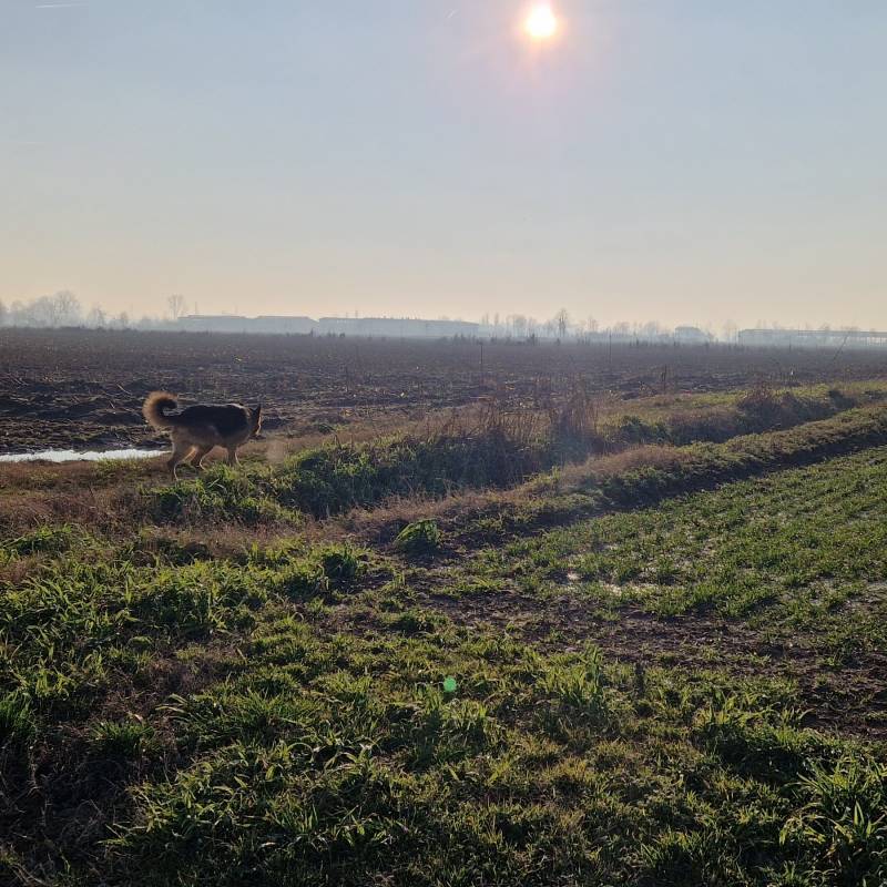 Fotosegnalazione di Brignano gera d'adda
