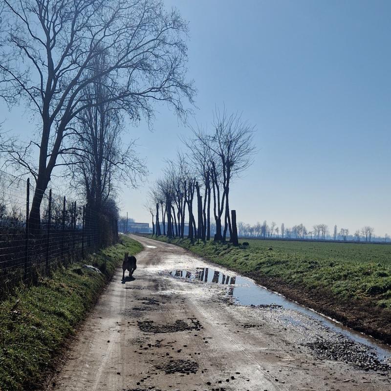 Fotosegnalazione di Brignano gera d'adda