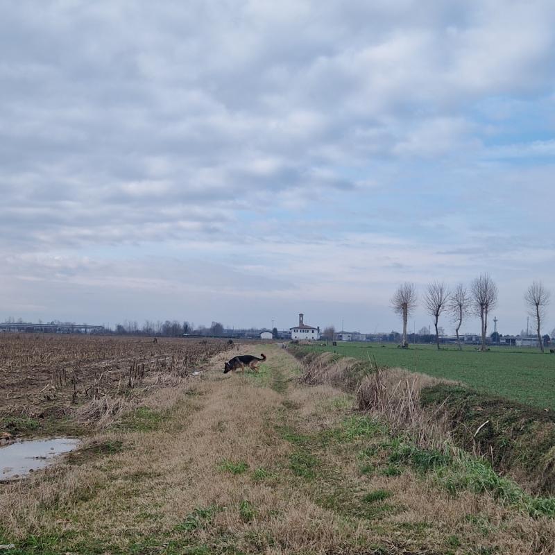 Fotosegnalazione di Brignano gera d'adda