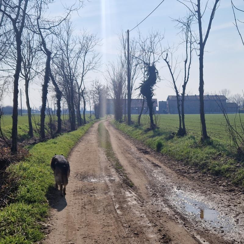 Fotosegnalazione di Brignano gera d'adda