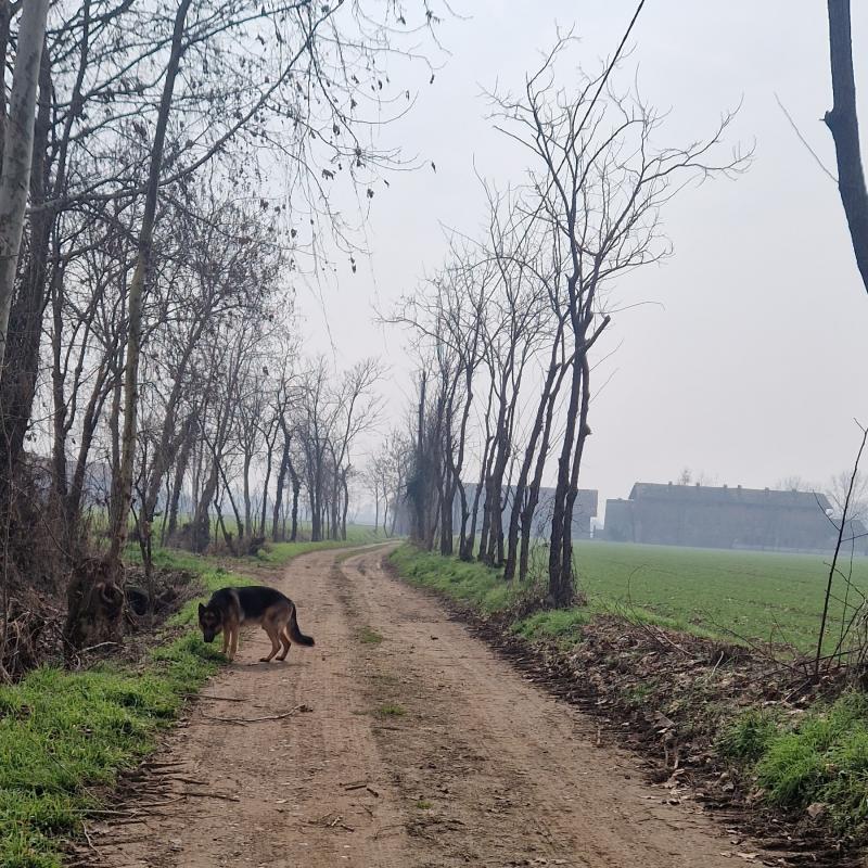 Fotosegnalazione di Brignano gera d'adda