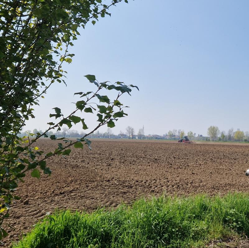 Fotosegnalazione di Brignano gera d'adda