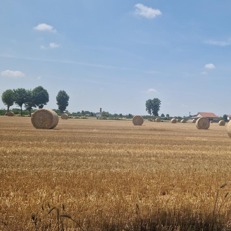 Fotosegnalazione di Brignano gera d'adda
