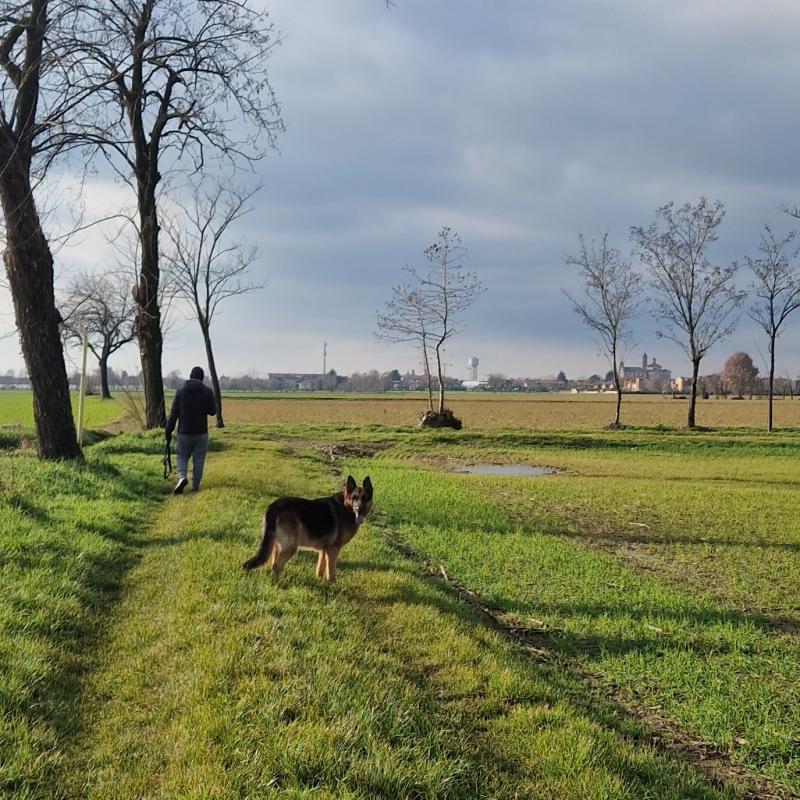 Fotosegnalazione di Brignano gera d'adda