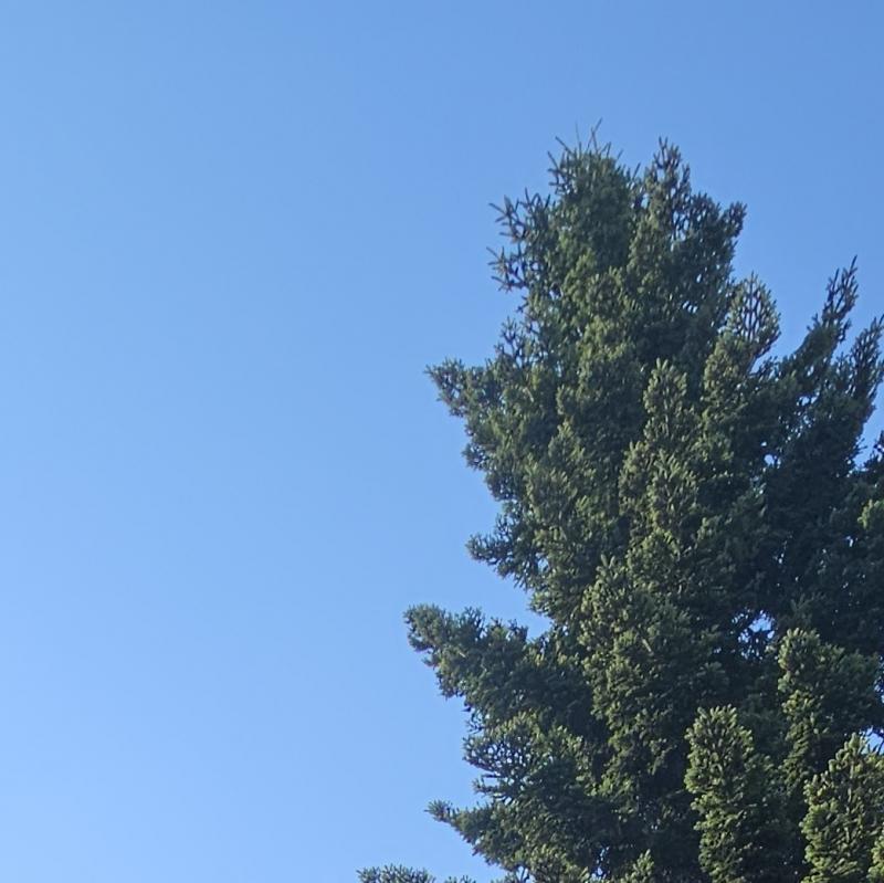 Fotosegnalazione di Borgo val di taro