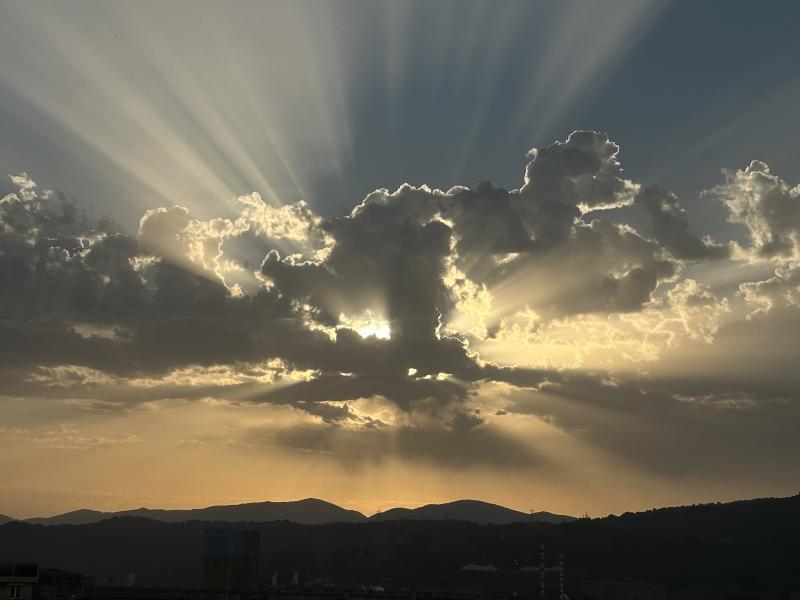 alba.
