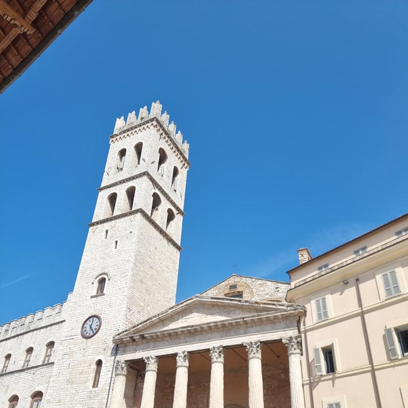 Fotosegnalazione di Assisi