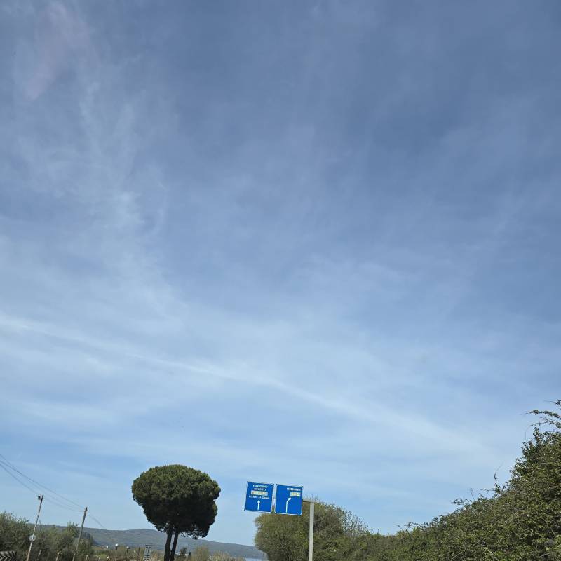 Fotosegnalazione di Marta