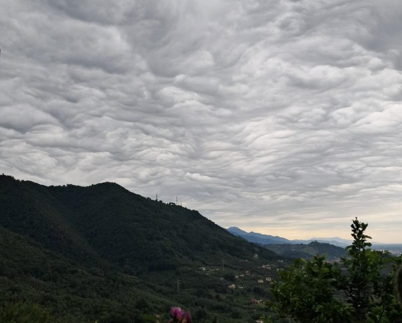 sea of clouds