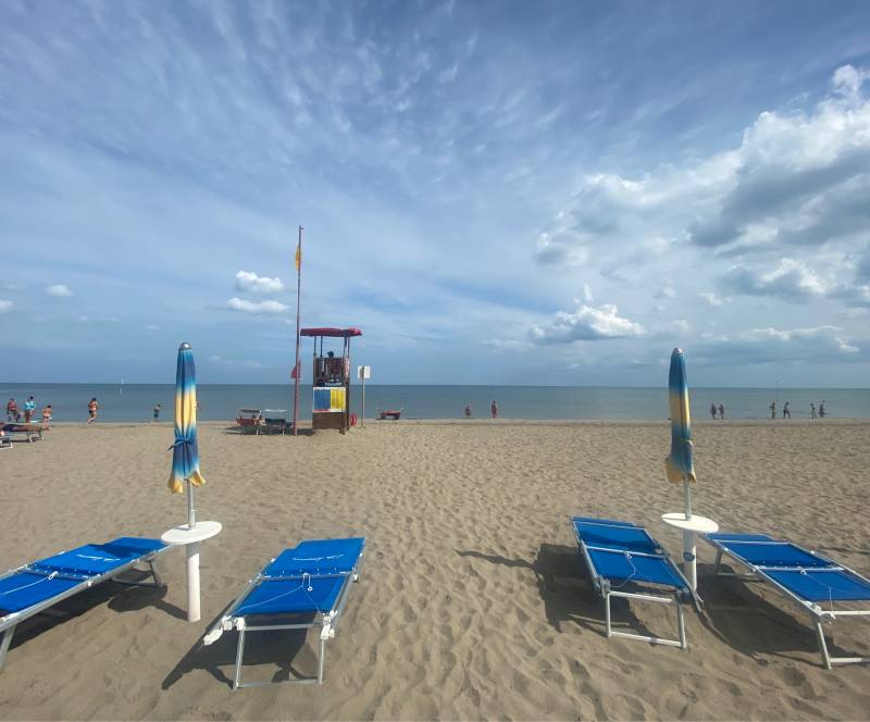 Fotosegnalazione di Rosolina mare