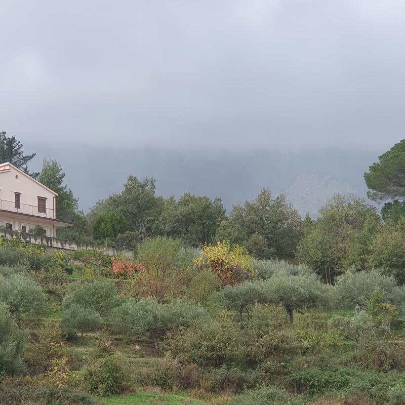 Fotosegnalazione di Castelbuono