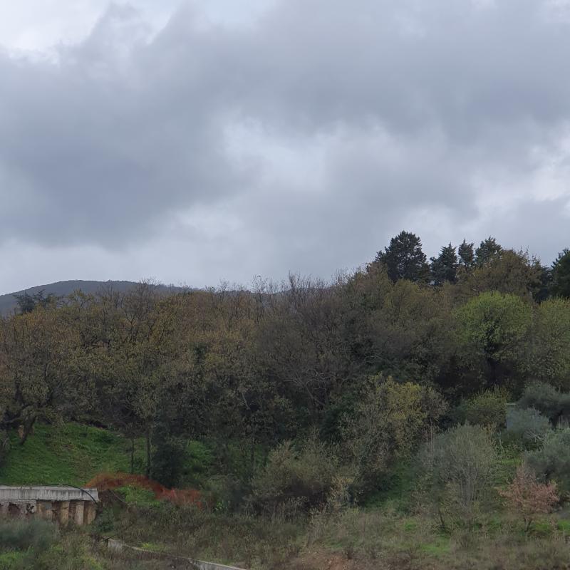 Fotosegnalazione di Castelbuono