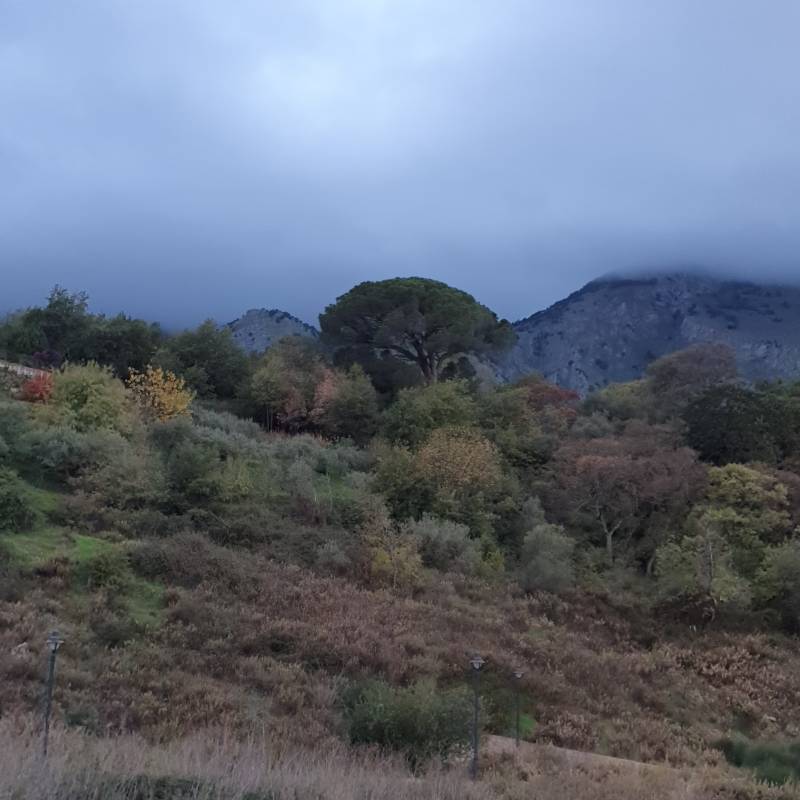 Fotosegnalazione di Castelbuono