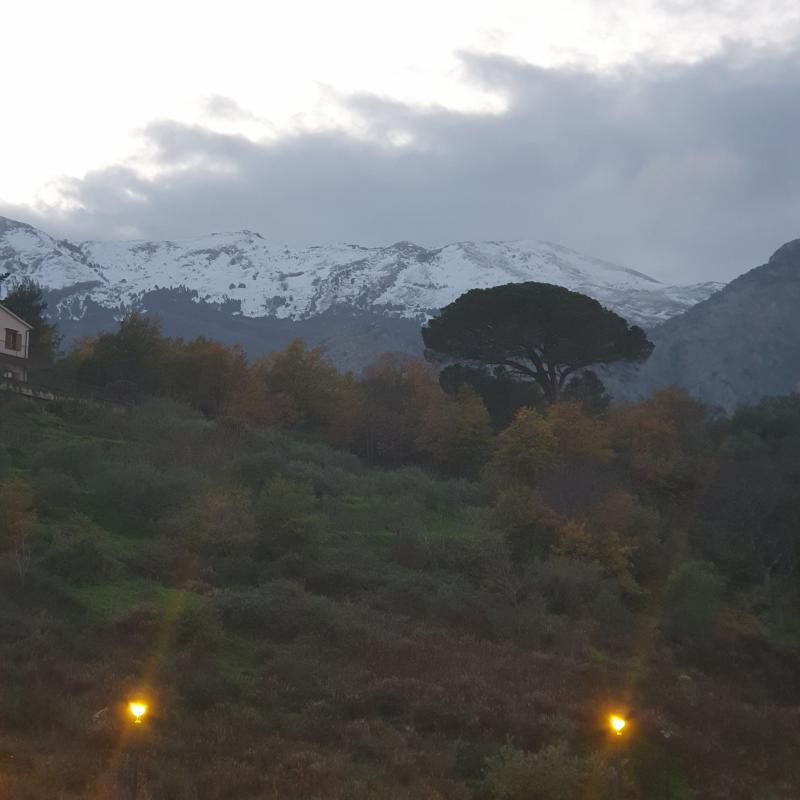 Fotosegnalazione di Castelbuono