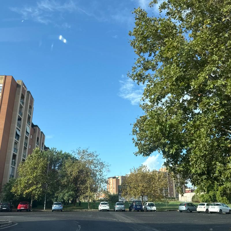 0 pioggia da questa mattina e 0 nuvole