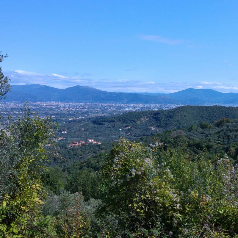 panorama dal Montalbano
