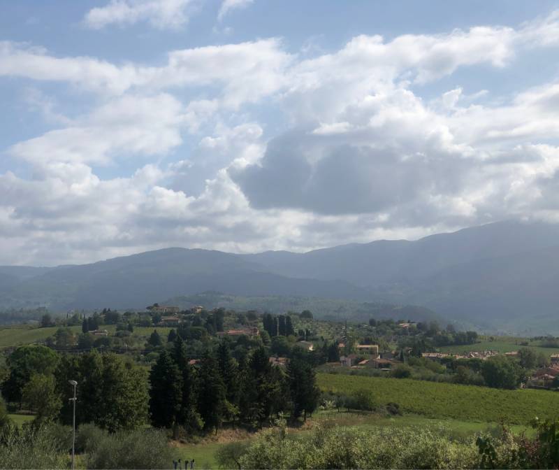 Fotosegnalazione di Torri