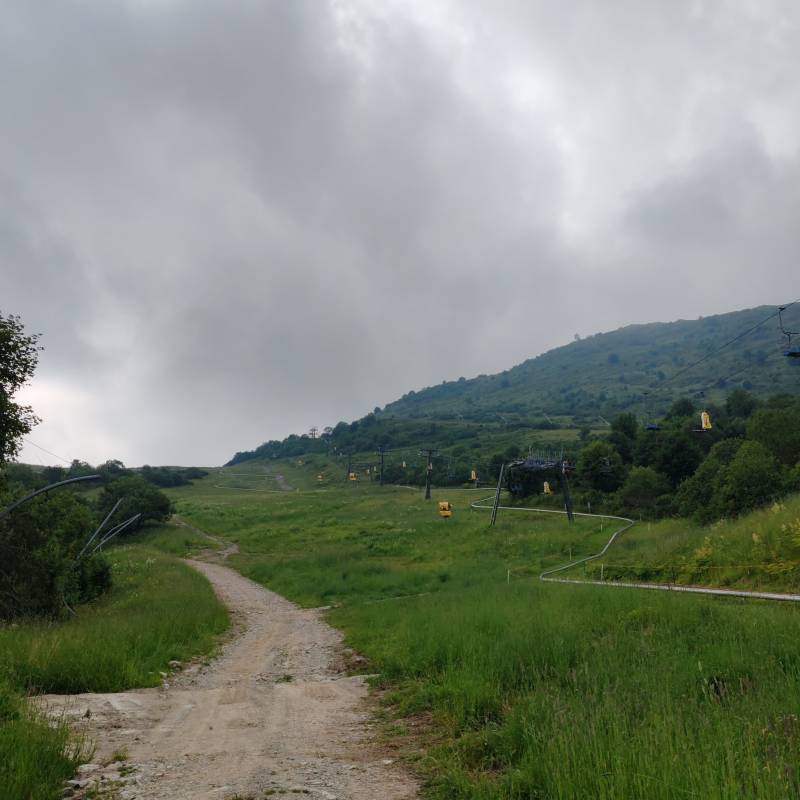 Fotosegnalazione di Artesina
