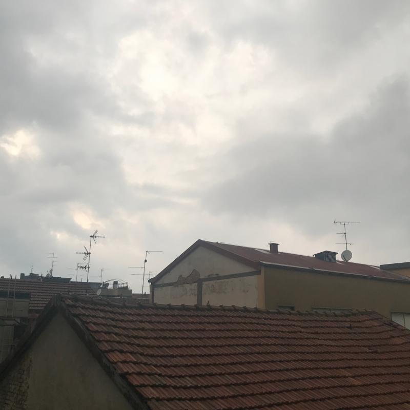 Fotosegnalazione di Milano niguarda