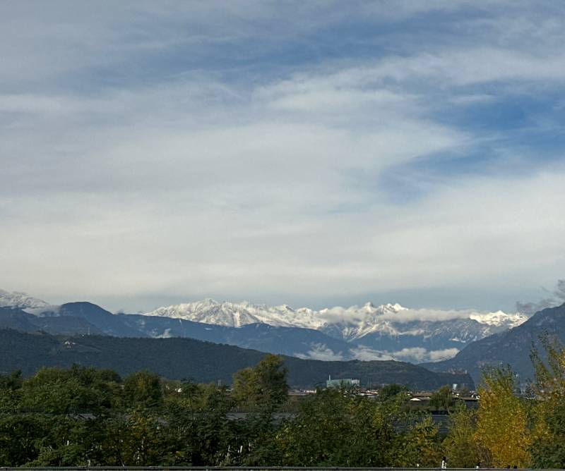 Tempo sereno a pineta di Laives e alpi zuccherate