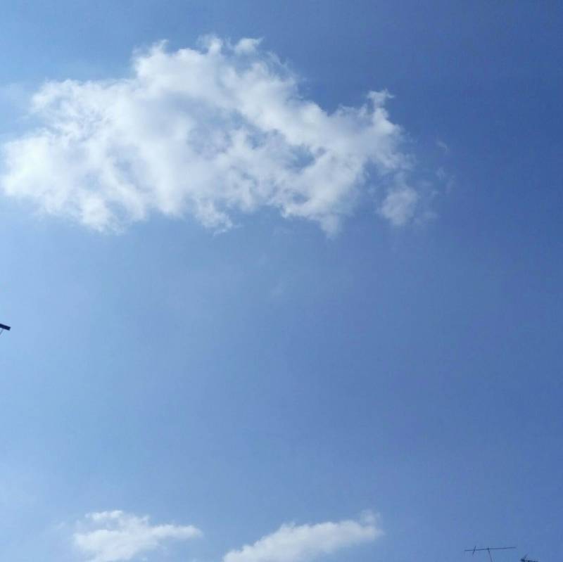 Fotosegnalazione di Bologna