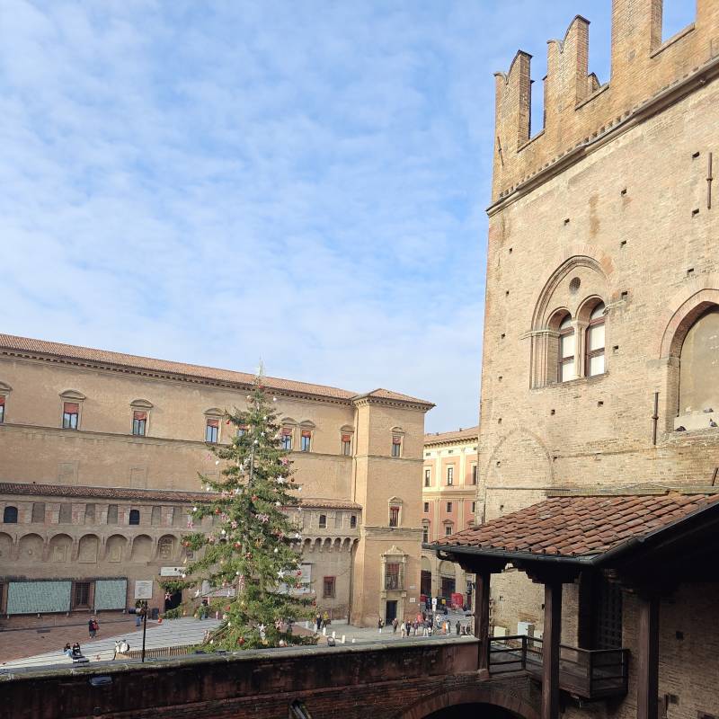 L'albero da palazzo re enzo