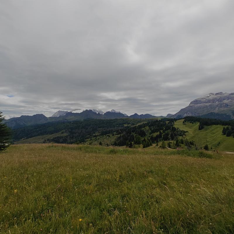 Coltre di nubi