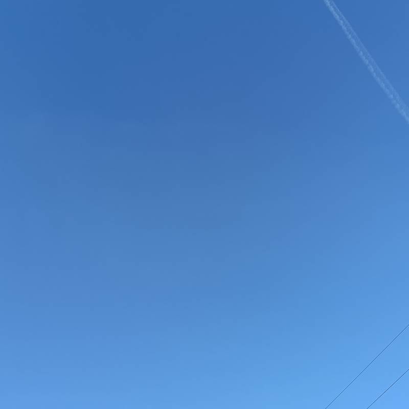 Piccolo assaggio di primavera